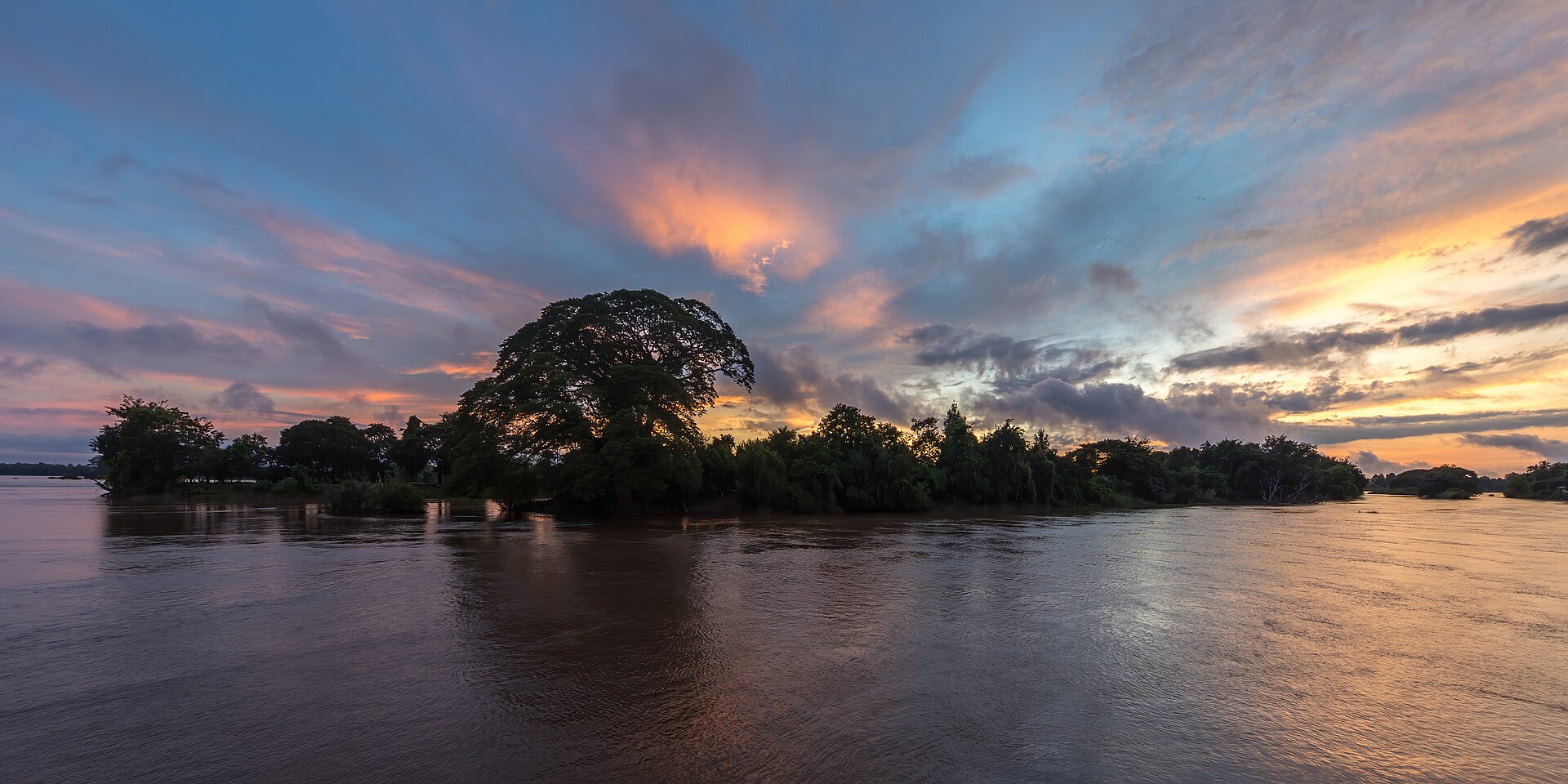 An island's trees in silhouette at sunrise, pink and yellow clouds above the river